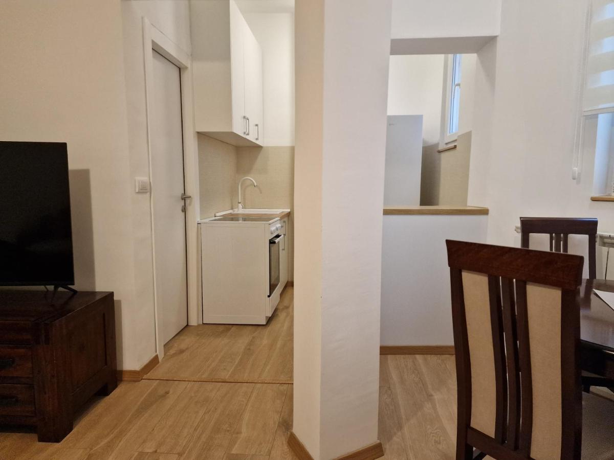 Apartment Olga Belgrad Zewnętrze zdjęcie
